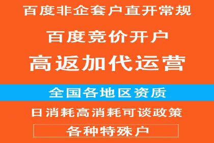 SEM推广代运营：成功案例解析与策略分享